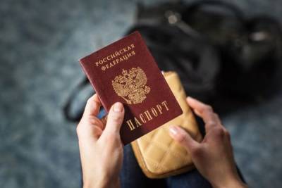 С начала года более 21000 жителей ДНР получили паспорта России