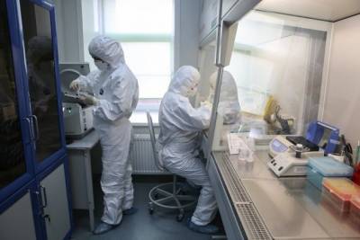 Эксперты обнаружили новый штамм коронавируса в десяти странах