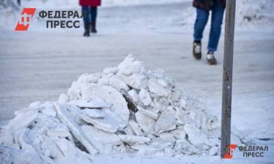 Москвичи пытаются заработать на сугробах снега