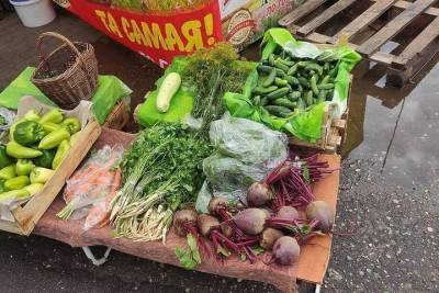 Лаборатория Центрального рынка в Пскове сэкономит деньги фермеров