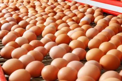 В Анадыре в магазинах отмечается нехватка яиц