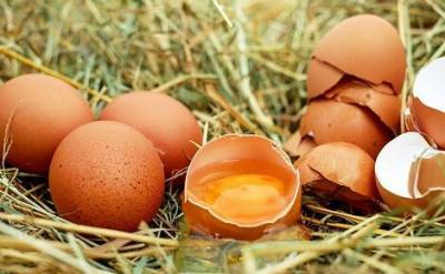 Минсельхоз обещает не допустить роста цен на мясо птицы и яйца