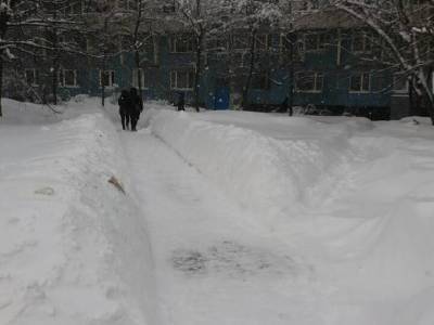 Сугробы в Москве после снегопада местами «подросли» до 74 см