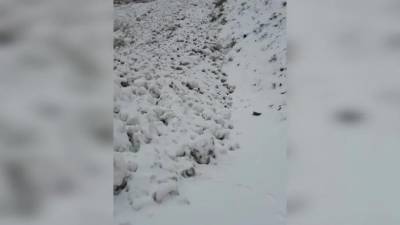 В Дагестане сошла снежная лавина