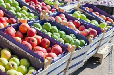 В Украине начнут дорожать качественные яблоки