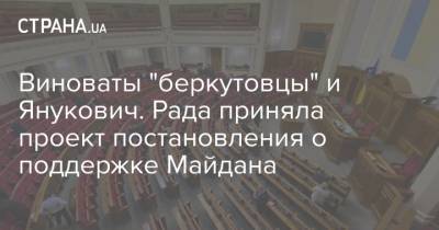 Виноваты "беркутовцы" и Янукович. Рада приняла проект постановления о поддержке Майдана