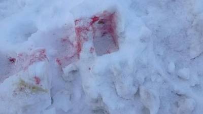 Розовый снег: догхантеры по всему Киеву рассыпали яд для собак – фото 18+