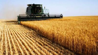 Украина теряет $ 2 млрд ежегодно из-за махинаций при экспорте зерна, - Гетманцев