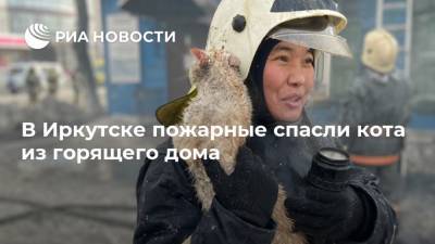 В Иркутске пожарные спасли кота из горящего дома