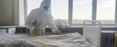В Нижегородской области выявлено 419 случаев коронавируса за сутки