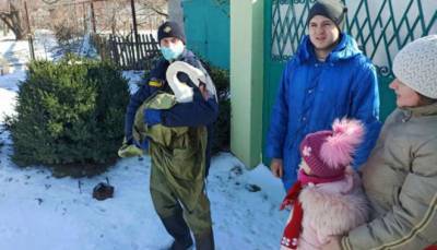 На Днепропетровщине спасли обессиленного лебедя