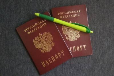Свыше 21 600 жителей ДНР получили паспорта РФ с начала 2021 года