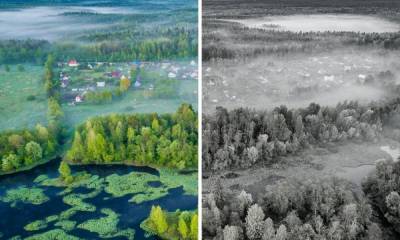 «Зеленый патруль» теперь и в Карелии: вопросы экологии будут решать на федеральном уровне