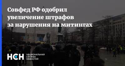 Совфед РФ одобрил увеличение штрафов за нарушения на митингах