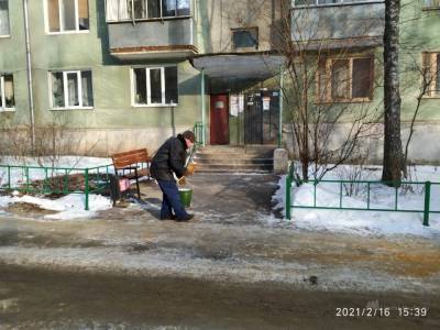 Об уборке в центре Липецка: «Благодаря дворнику у нас чисто даже в самый лютый снегопад»
