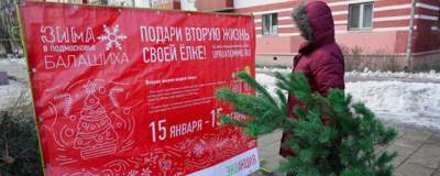 Жители Подмосковья сдали на переработку более 50 тысяч новогодних елок