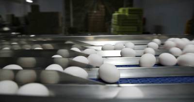 Эксперт назвал неизбежным рост цен на яйца и птицу