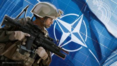 Дандыкин назвал бессмысленным диалог России и НАТО
