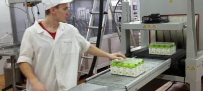 Расходы производителей "молочки" в Карелии вырастут из-за обязательной маркировки продукции