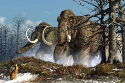 Ученые раскрыли причину вымирания мамонтов и другой мегафауны