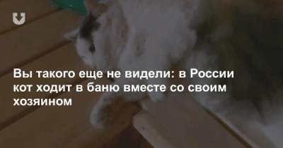 Вы такого еще не видели: в России кот ходит в баню вместе со своим хозяином