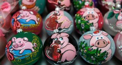 Как свиньи в бассейне: публицист раскритиковал политическую среду Латвии