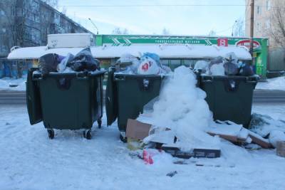 Из-за сильного мороза Архангельск погрузился в «мусорный коллапс»