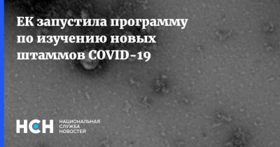 ЕК запустила программу по изучению новых штаммов COVID-19