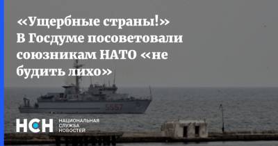 «Ущербные страны!» В Госдуме посоветовали союзникам НАТО «не будить лихо»