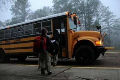 Школьники микрорайона Никольское возможно получат школьный автобус
