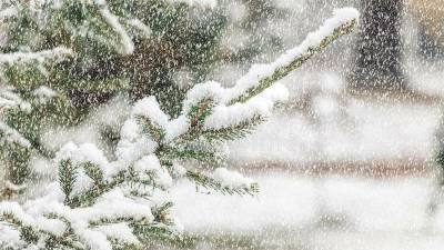 Метель и снегопад: в Башкирии ожидается ухудшение погодных условий