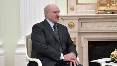 Австрийцы признали правоту Лукашенко