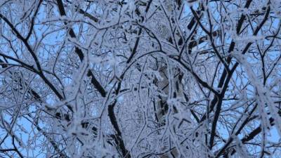 Ночью 18 февраля в Ленобласти может похолодать до -35 градусов