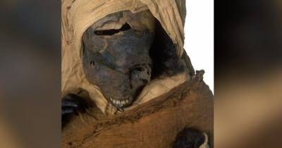 Изучив мумию египетского фараона, ученые выяснили ужасающие подробности его гибели