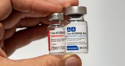 В Габоне зарегистрировали российскую вакцину "Спутник V"
