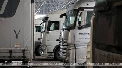 Грузоперевозки транспортных предприятий Беларуси в январе сократились на 3,5%
