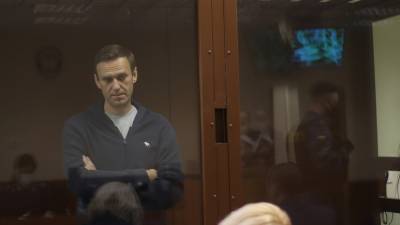В Бабушкинском суде 20 февраля пройдут процессы по двум делам Навального