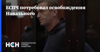 ЕСПЧ потребовал освобождения Навального