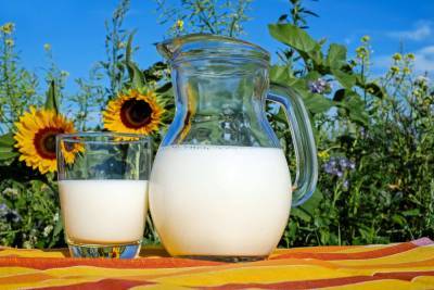 Диетолог Соломатина: "Не рекомендуется при похудении коровье молоко заменять на растительное"