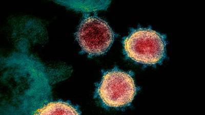 В Британии в рамках первого в мире исследования коронавируса заразят 90 добровольцев