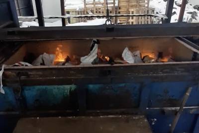 В Петербурге сожгли более двух центнеров сыра и масла из Европы