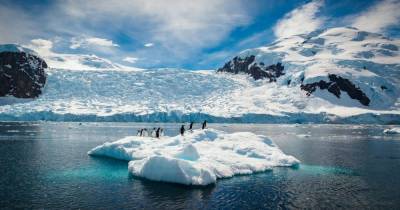 В Антарктиде глубоко под ледником нашли ранее неизвестных существ