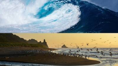 Японские специалисты научили ИИ предсказывать цунами в реальном времени
