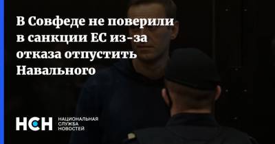 В Совфеде не поверили в санкции ЕС из-за отказа отпустить Навального