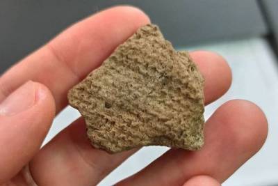 Археологи предложили псковичам отгадать, какая находка их умилила