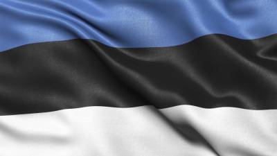 Власти Эстонии предпочли факельное шествие Дню независимости