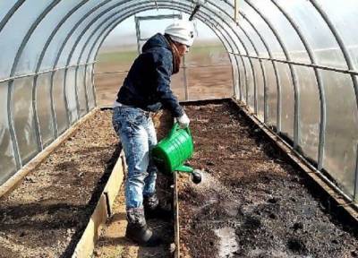 Готовим грунт в теплице к высадкам растений: раз в два-три года надо обновлять почву