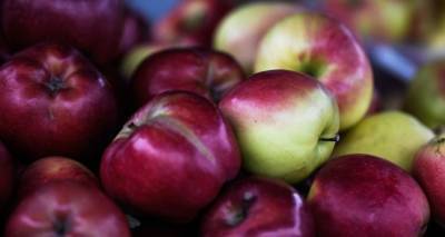 Россия вернула в Латвию 18 тонн яблок из-за 24 "подброшенных" коробок