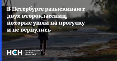 В Петербурге разыскивают двух второклассниц, которые ушли на прогулку и не вернулись