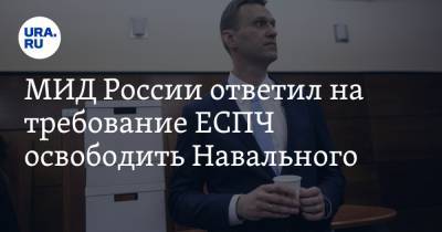 МИД России ответил на требование ЕСПЧ освободить Навального